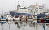 Port de Torshavn