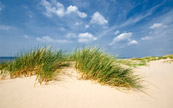 Dunes de sable fin